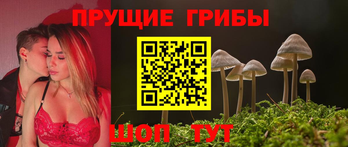 Луга  Галлюциногенные грибы ЛСД  Вход с VPN 